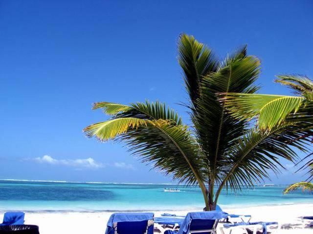 Отель Larimar Beach Пунта-Кана Экстерьер фото